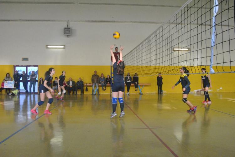 Polisportiva M Bari, Volley: Under 14 F, marcia trionfale